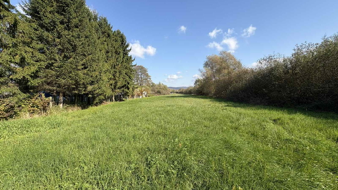 Lokacija: Ljubljana mesto, Vič-Rudnik, Rakova Jelša