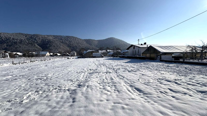 Lokacija: Ljubljana mesto, Moste-Polje, Kašelj