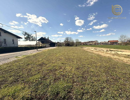 Lokacija: Ljubljana mesto, Moste-Polje, Kašelj