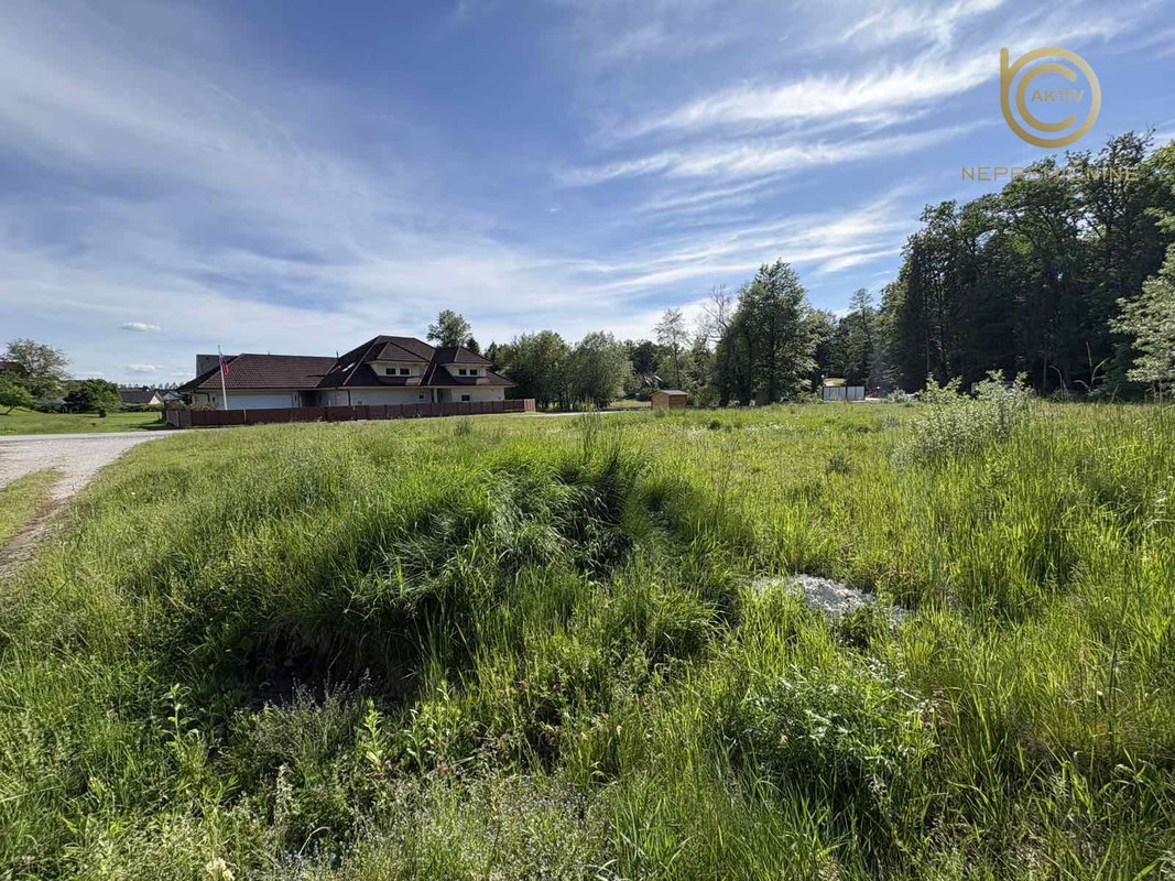 Lokacija: Ljubljana okolica, Komenda, Podboršt pri Komendi