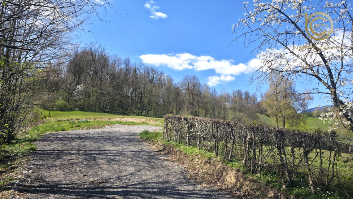 Lokacija: Ljubljana okolica, Kamnik, Kamnik