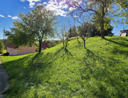 Lokacija: Ljubljana okolica, Lukovica, Trnovče