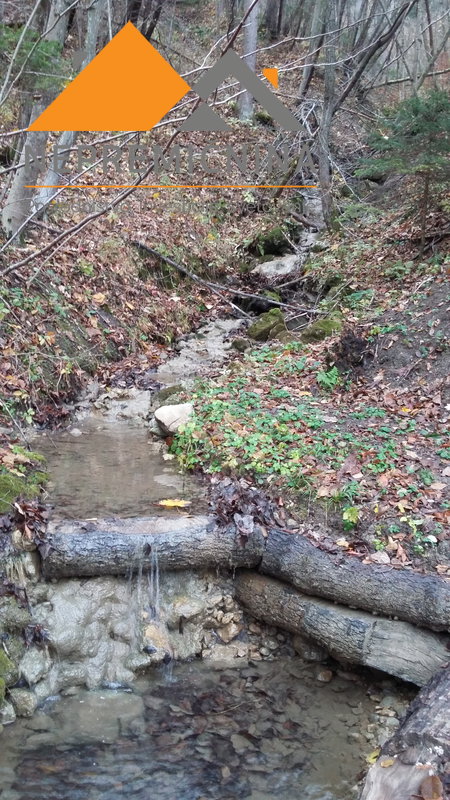 Lokacija: Gorenjska, Radovljica, Radovljica
