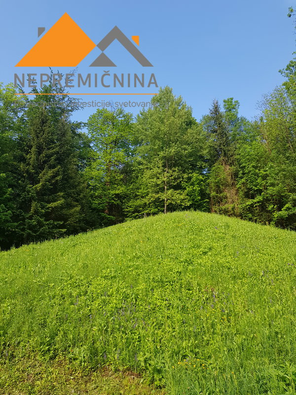 Lokacija: Gorenjska, Radovljica, Radovljica