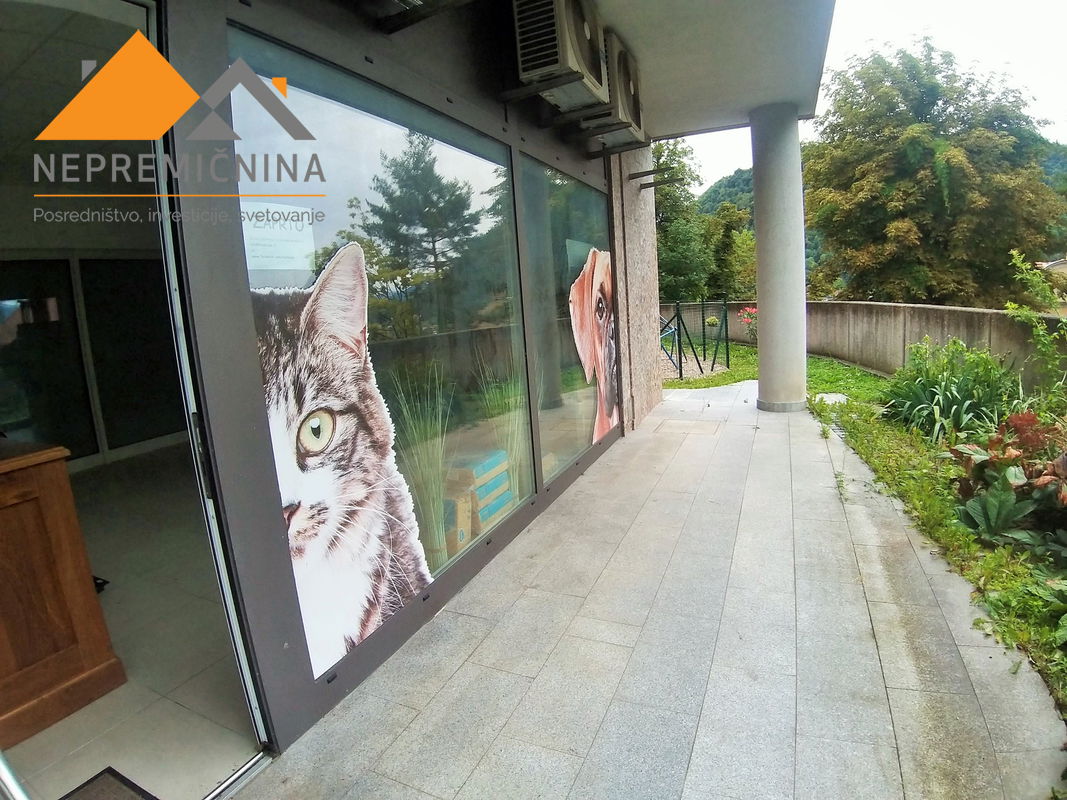 Lokacija: Gorenjska, Kranj, Kranj