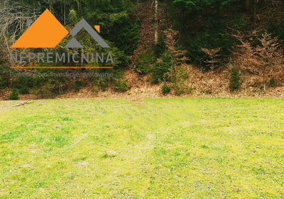 Lokacija: Ljubljana okolica, Kamnik, Kamnik