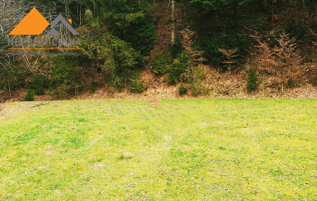 Lokacija: Ljubljana okolica, Kamnik, Kamnik