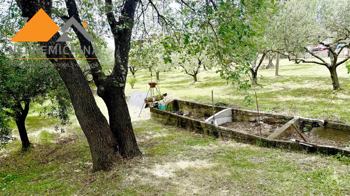 Lokacija: Obalno - kraška, Izola, Korte