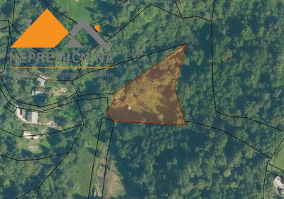 Lokacija: Gorenjska, Radovljica, Radovljica