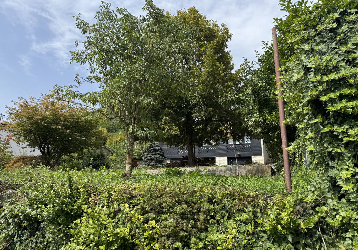 Lokacija: Ljubljana mesto, Šiška, Šmartno pod Šmarno goro