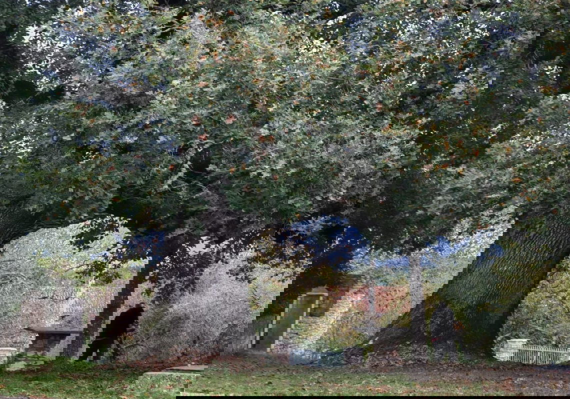 Lokacija: Hrvaška, Istarska županija, Barban, Balići