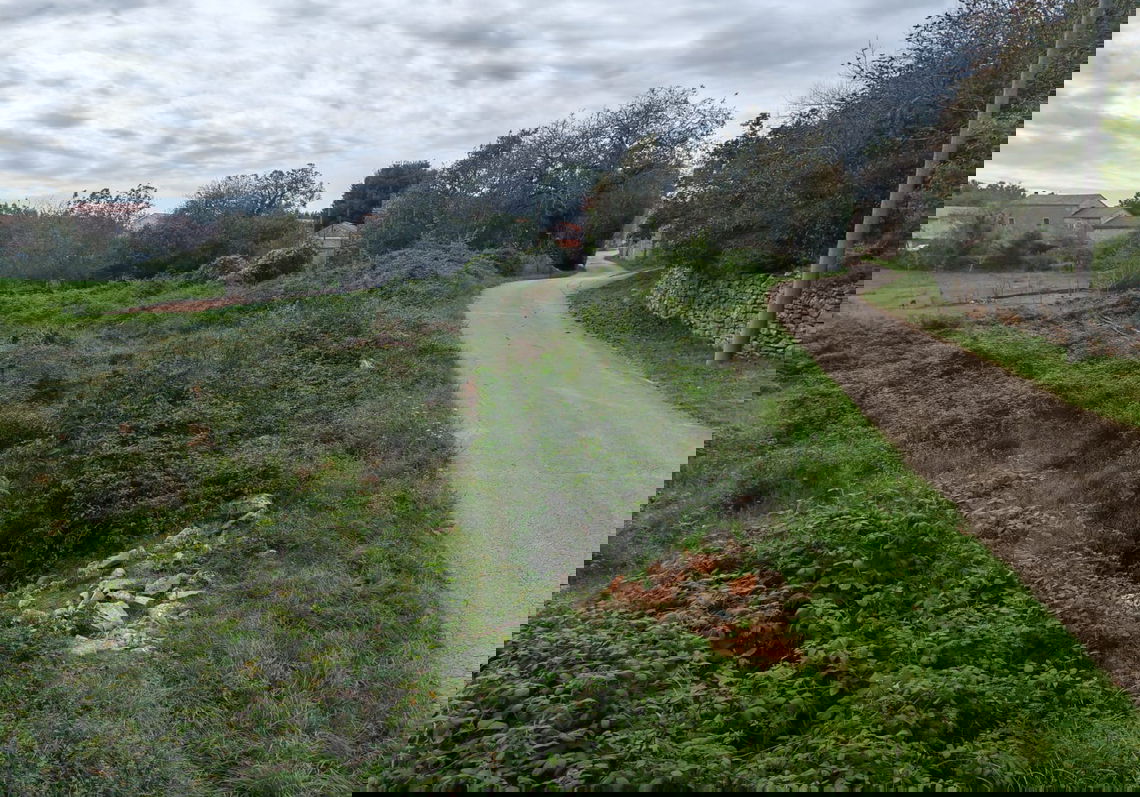 Lokacija: Hrvaška, Istarska županija, Barban, Balići