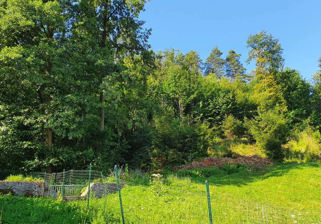 Lokacija: Ljubljana mesto, Šiška, Gunclje