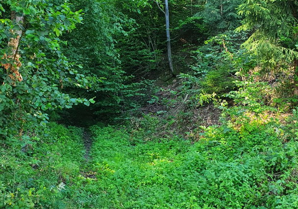 Lokacija: Ljubljana mesto, Šiška, Gunclje