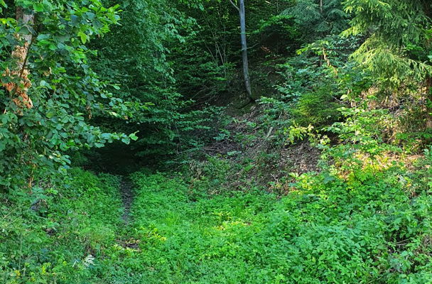 Lokacija: Ljubljana mesto, Šiška, Gunclje