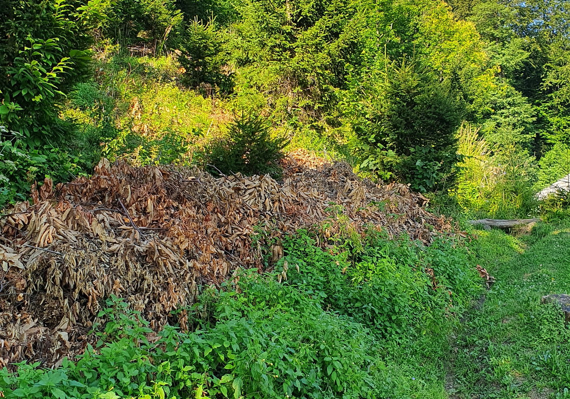 Lokacija: Ljubljana mesto, Šiška, Gunclje