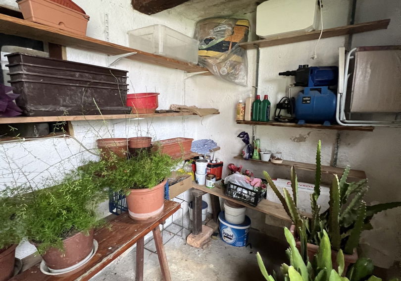 Lokacija: Ljubljana okolica, Ivančna Gorica, Velike Lese