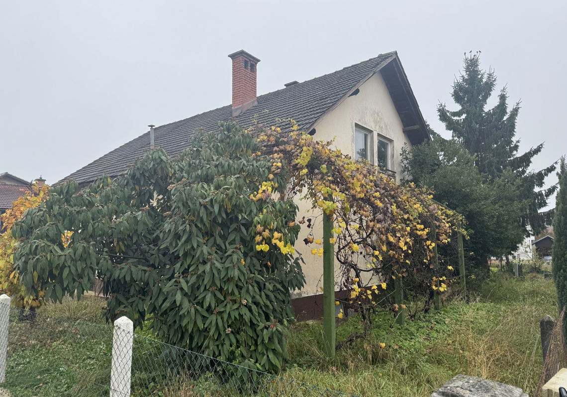 Lokacija: Ljubljana okolica, Domžale, Vir