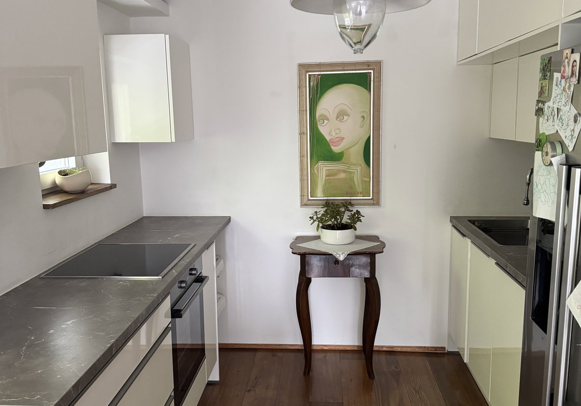 Lokacija: Ljubljana mesto, Vič-Rudnik, Rudnik