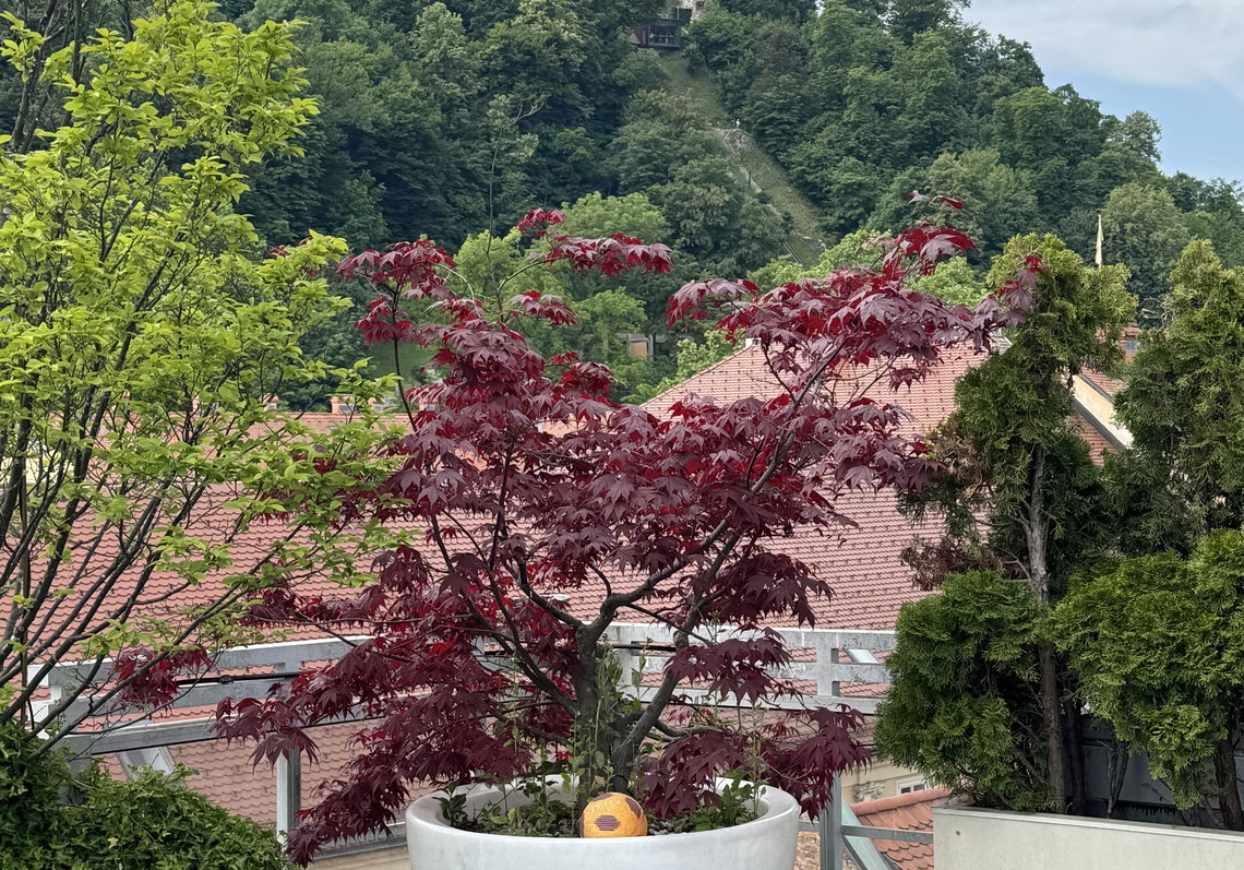 Lokacija: Ljubljana mesto, Center, Poljane