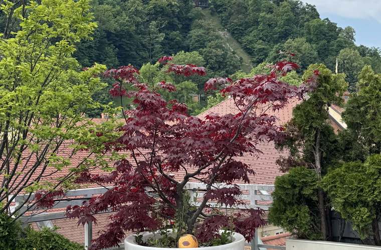 Lokacija: Ljubljana mesto, Center, Poljane