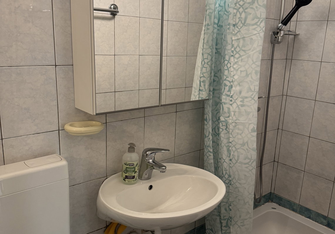 Lokacija: Ljubljana mesto, Šiška, Šiška