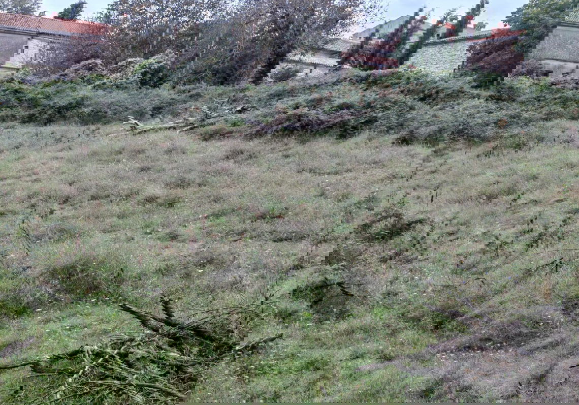 Lokacija: Hrvaška, Istarska županija, Barban, Balići