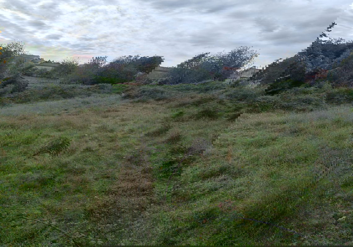 Lokacija: Hrvaška, Istarska županija, Barban, Balići