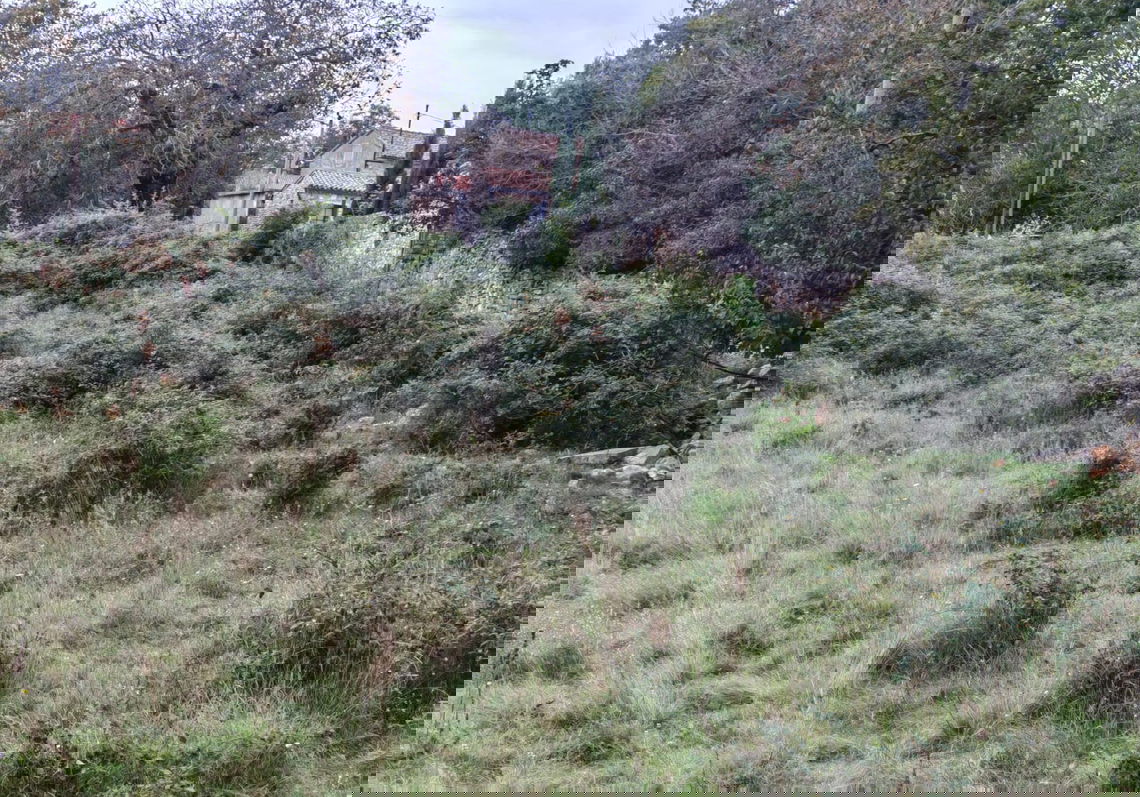 Lokacija: Hrvaška, Istarska županija, Barban, Balići