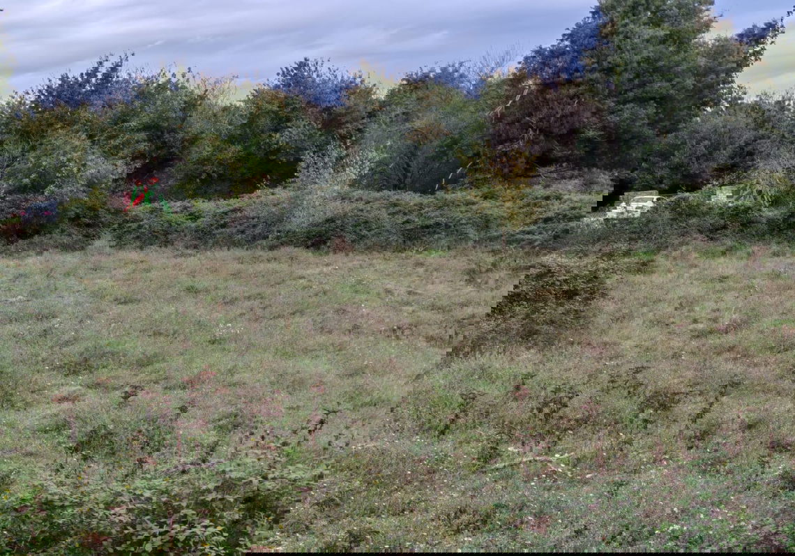 Lokacija: Hrvaška, Istarska županija, Barban, Balići