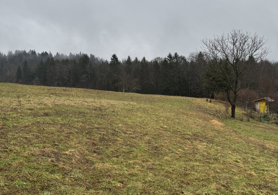 Lokacija: Ljubljana okolica, Ivančna Gorica, Velike Lese