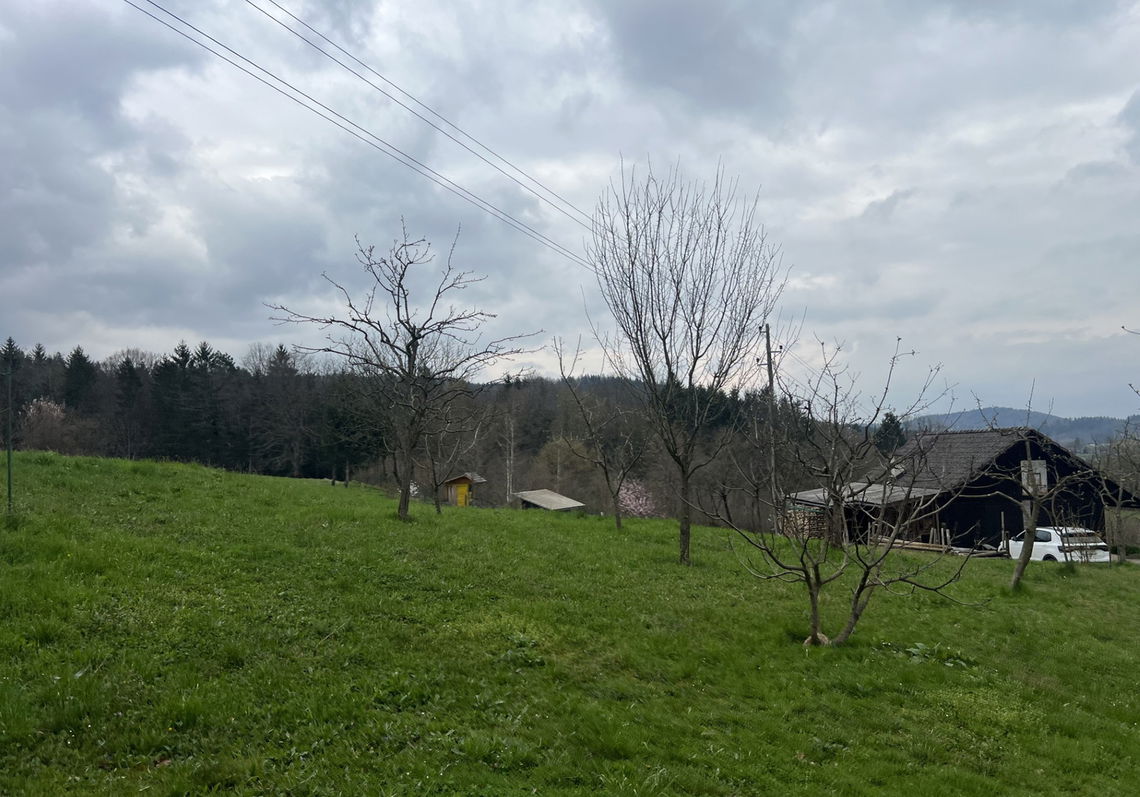 Lokacija: Ljubljana okolica, Ivančna Gorica, Velike Lese