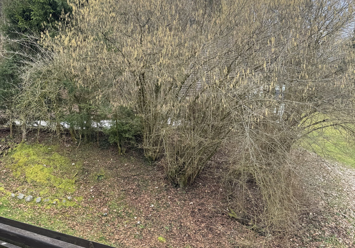 Lokacija: Ljubljana okolica, Vodice, Selo pri Vodicah