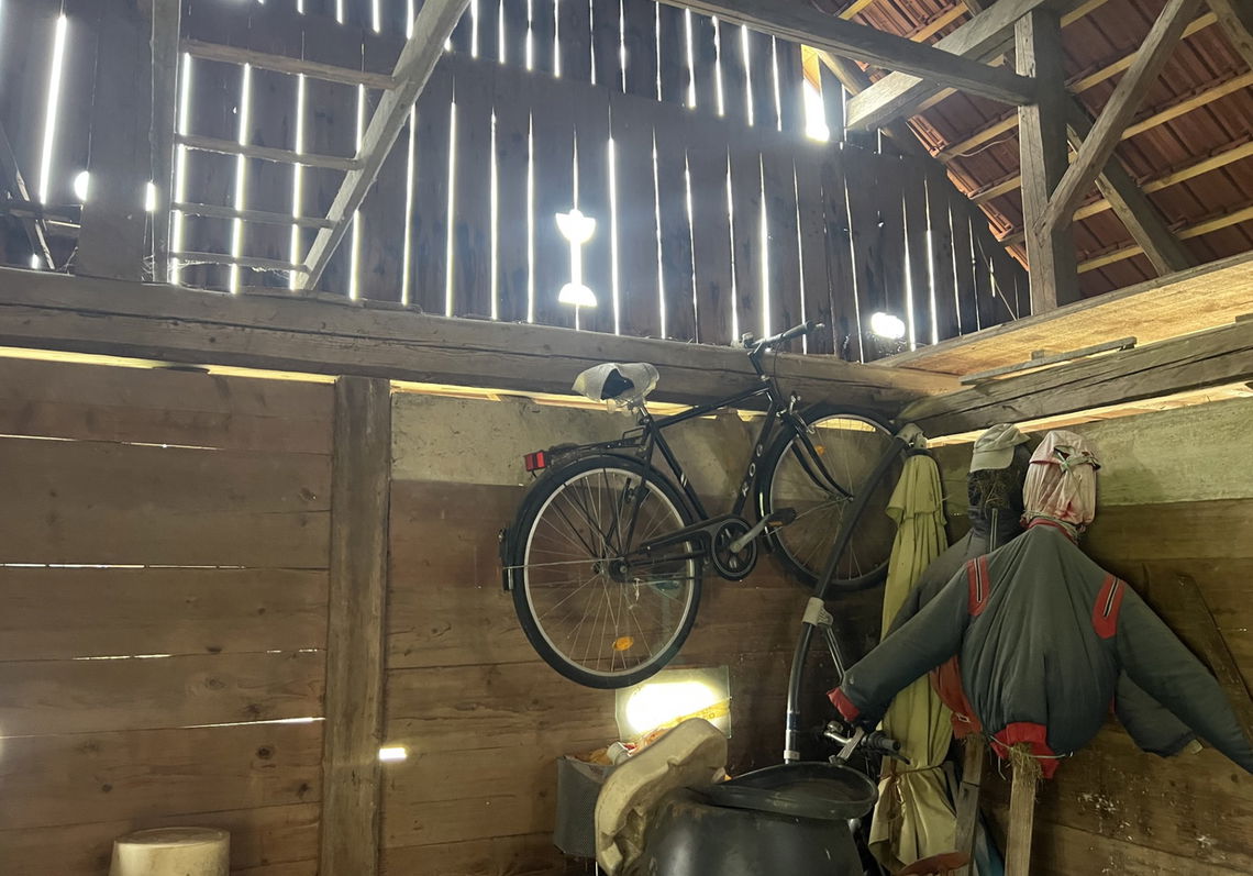 Lokacija: Ljubljana okolica, Ivančna Gorica, Velike Lese