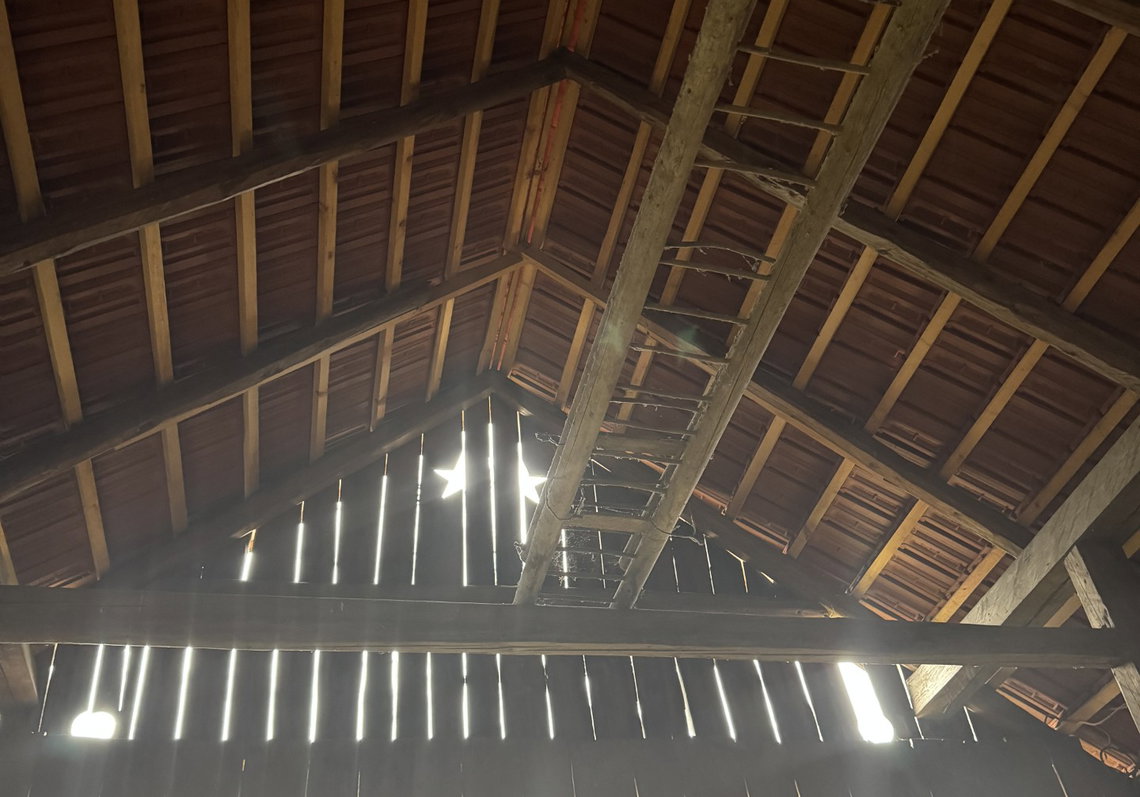 Lokacija: Ljubljana okolica, Ivančna Gorica, Velike Lese