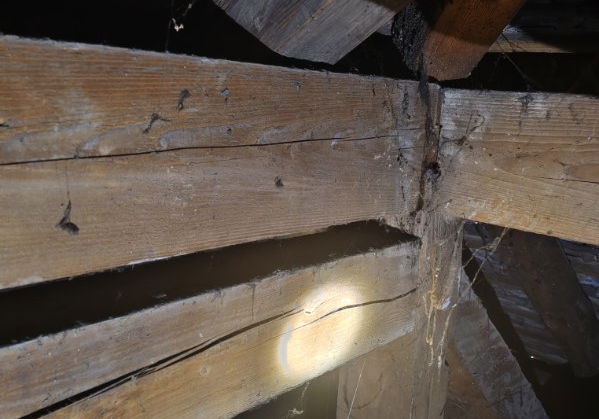 Lokacija: Ljubljana mesto, Šiška, Šentvid