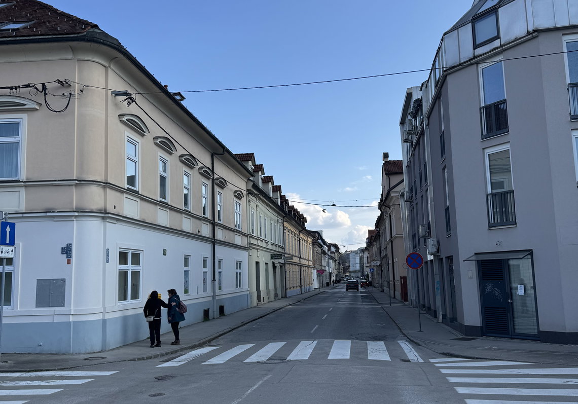 Lokacija: Ljubljana mesto, Šiška, Šiška