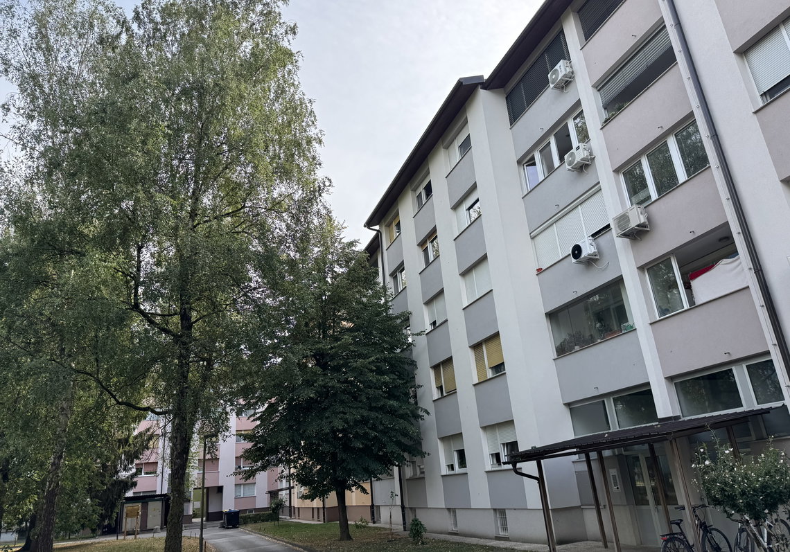 Lokacija: Ljubljana mesto, Moste-Polje, Moste