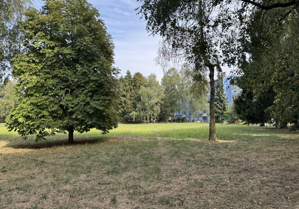 Lokacija: Ljubljana mesto, Moste-Polje, Moste