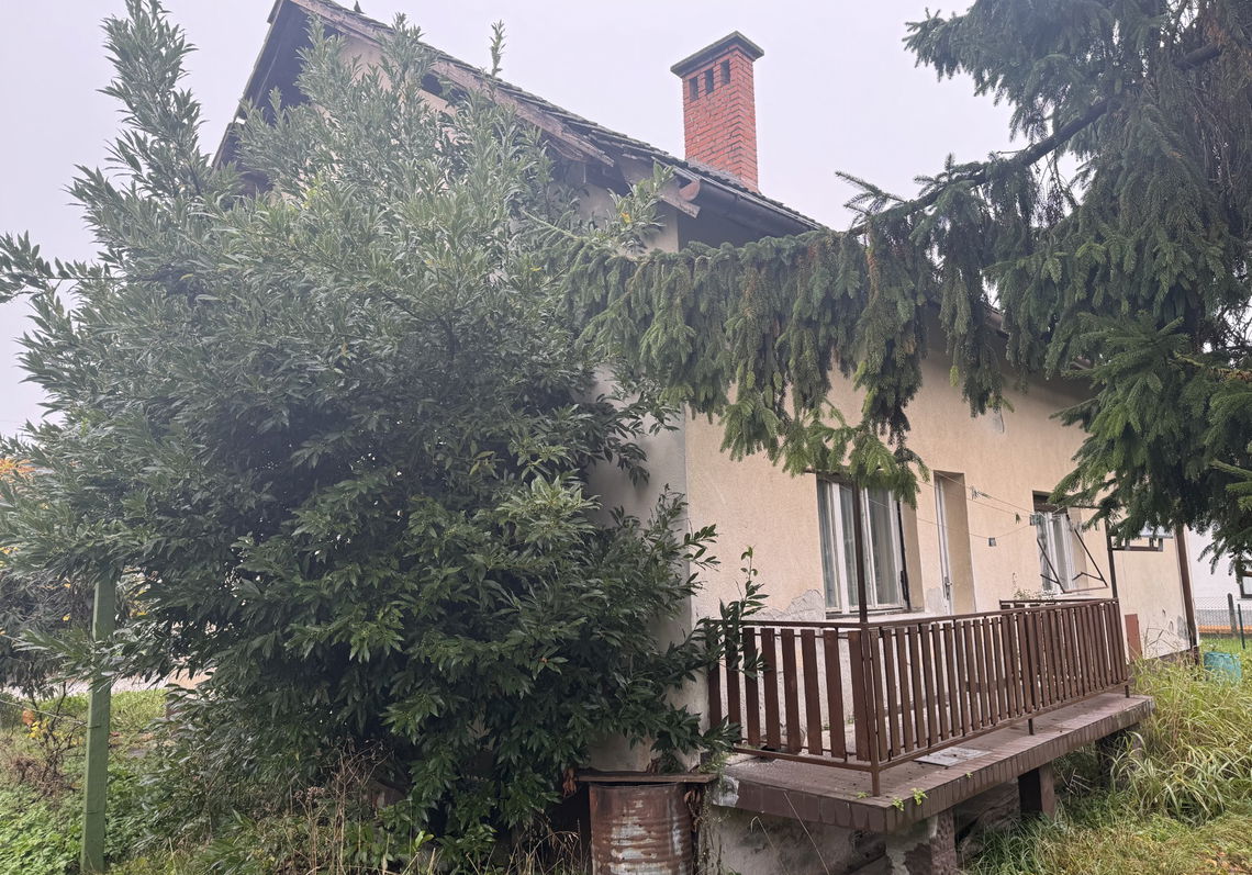 Lokacija: Ljubljana okolica, Domžale, Vir