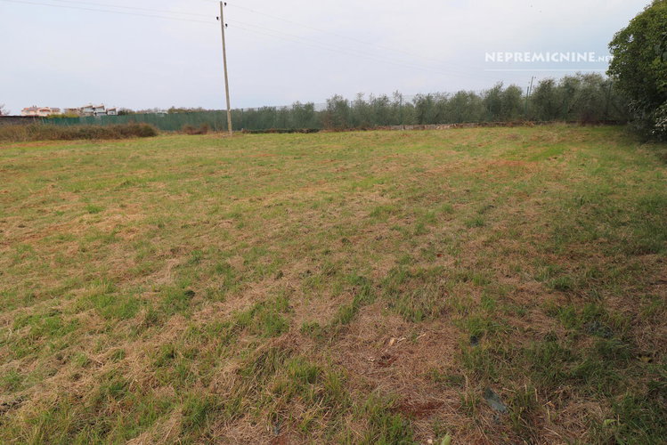 Lokacija: Hrvaška, Istarska županija, Zambratija