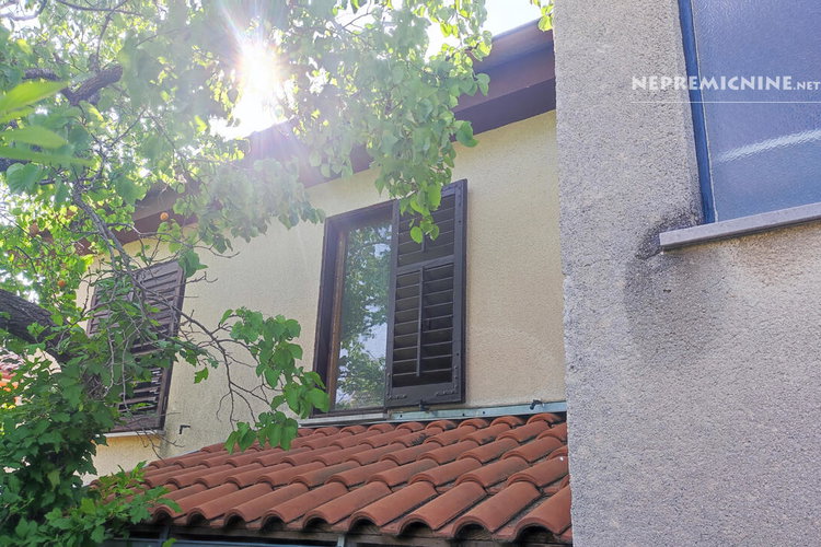 Lokacija: Obalno - kraška, Koper, Pobegi