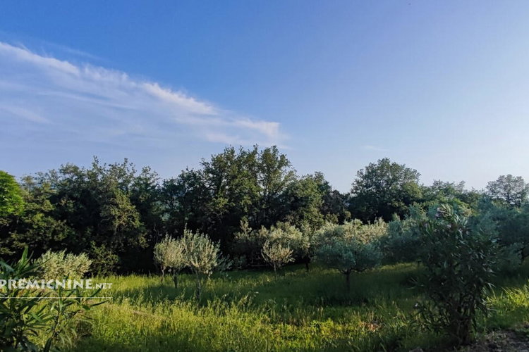 Lokacija: Obalno - kraška, Piran, Parecag