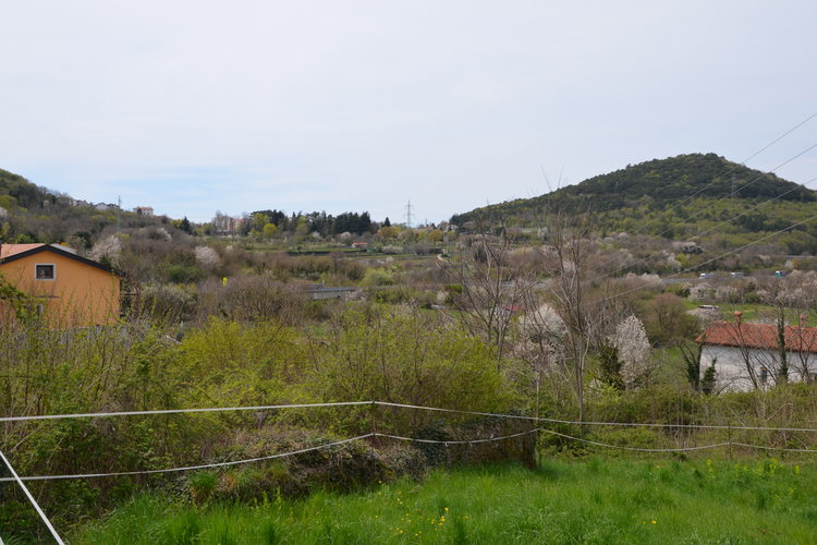 Lokacija: Obalno - kraška, Sežana, Dane pri Sežani