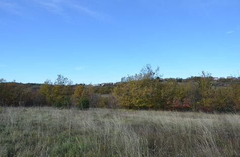 Obalno - kraška, Izola, Šared, Prodaja, Parcela, Kmetijska površina, 2928 m<sup>2</sup>