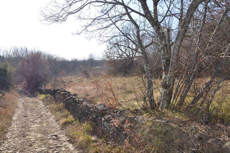 Ubicación: Obalno - kraška, Koper, Boršt