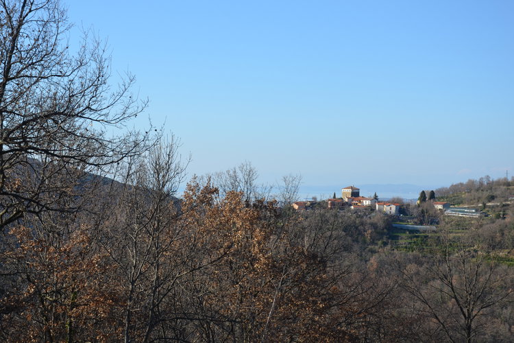 Ubicación: Obalno - kraška, Koper, Boršt