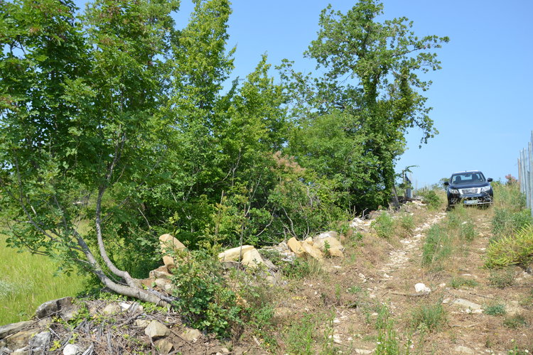 Lokacija: Obalno - kraška, Piran, Nova vas nad Dragonjo
