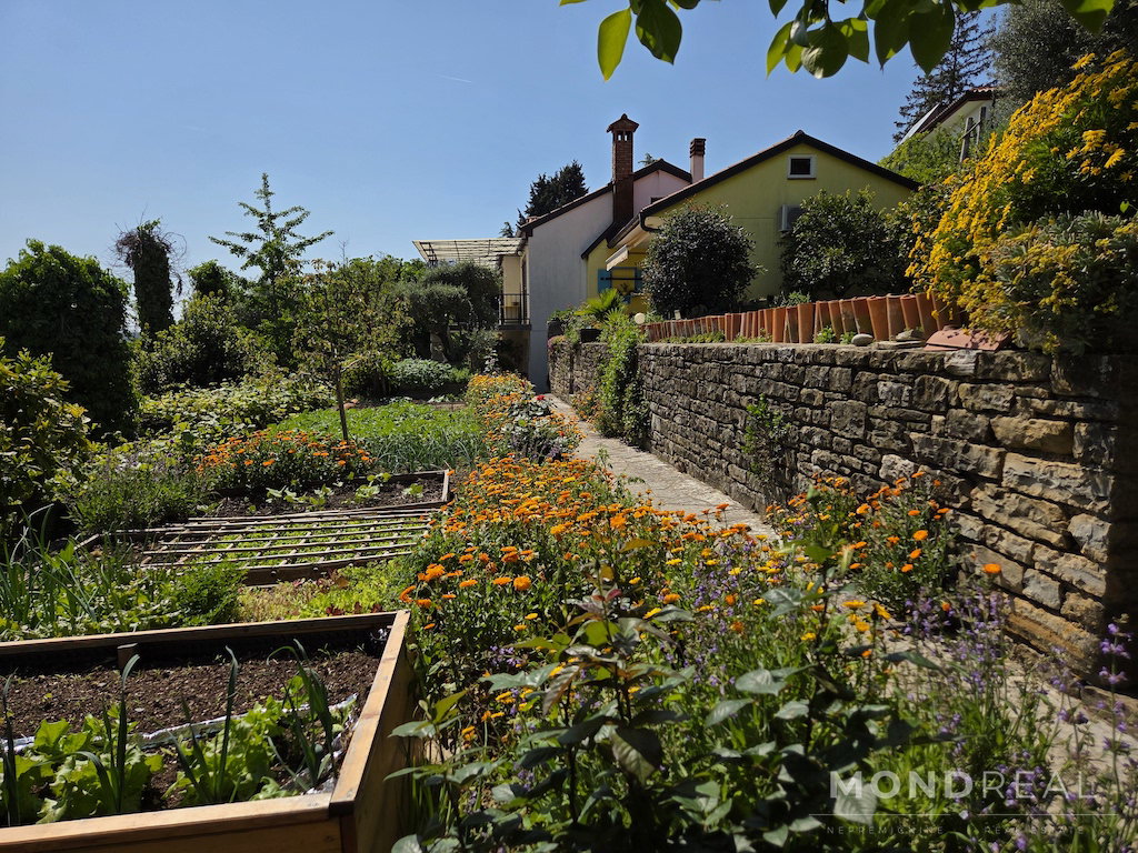 Location: Obalno - kraška, Piran, Portorož