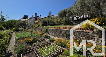 Location: Coastal-Karst, Piran, Portorož